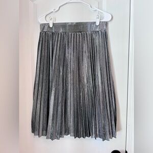Metrowear Shimmering Silver A-Line Skirt